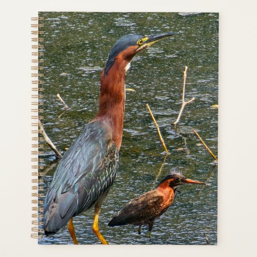 Sac réutilisable pour épicerie Green Heron (Devant)