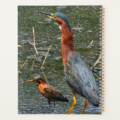 Sac réutilisable pour épicerie Green Heron (Dos)