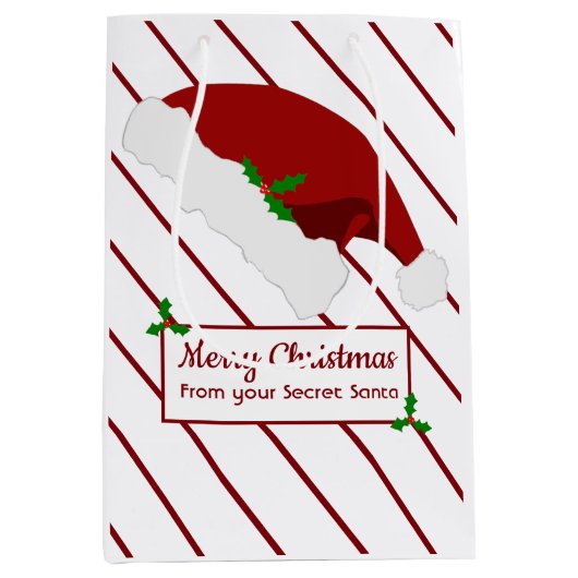 Sac secret de cadeau de Père Noël de Noël pour le (Devant)