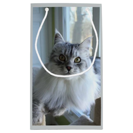 Sac sibérien argenté émouvant de cadeau de chat (Dos)
