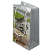 Sac sibérien argenté émouvant de cadeau de chat (Devant Angle)