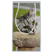 Sac sibérien argenté émouvant de cadeau de chat (Devant)