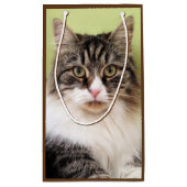 Sac sibérien de cadeau de chat (Dos)