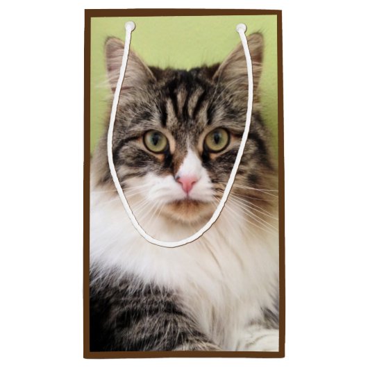 Sac sibérien de cadeau de chat (Dos)