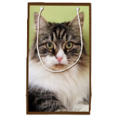 Sac sibérien de cadeau de chat (Devant)