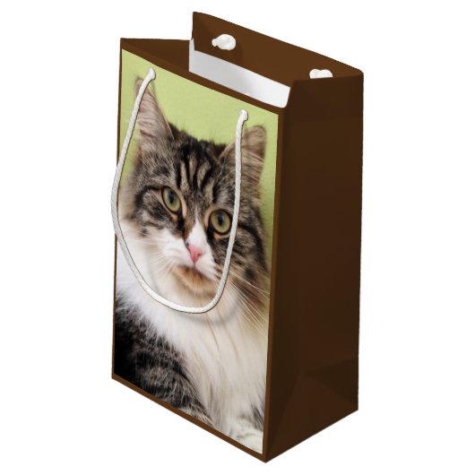 Sac sibérien de cadeau de chat (Dos Angle)