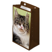 Sac sibérien de cadeau de chat (Devant Angle)