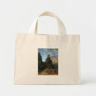 Sac Spring Trees