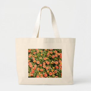 Sac Zinnias Rose