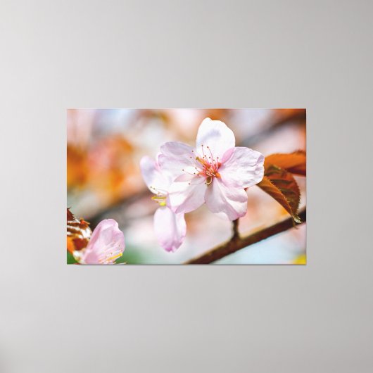 Sacharovbloemen en Oranje bladeren in Springtime Canvas Afdruk (Voorkant)