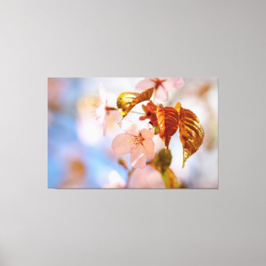 Sacharovbloemen en Oranje bladeren in Springtime Canvas Afdruk (Voorkant)