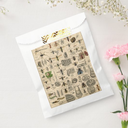 Sachets En Papier Abeille Insecte Bug Wasp Nature Peinture des abeil (Scellé)