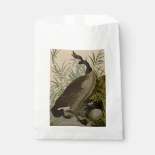 Sachets En Papier Audubon Canada Oies Oiseaux sauvages