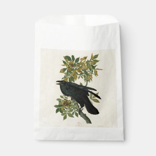 Sachets En Papier Audubon Raven Oiseau classique (Devant)