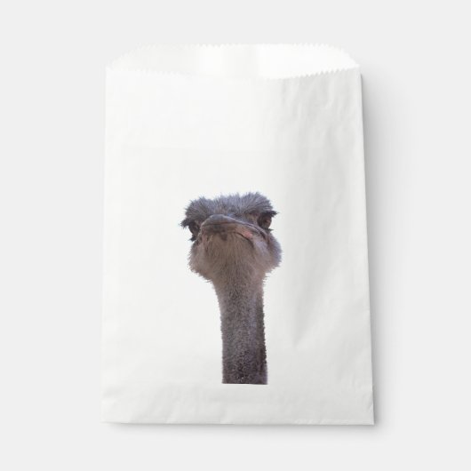 Sachets En Papier autruche (Devant)