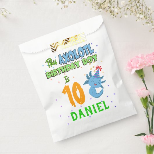 Sachets En Papier Axolotl Custom Birthday Boy Matching (Scellé)