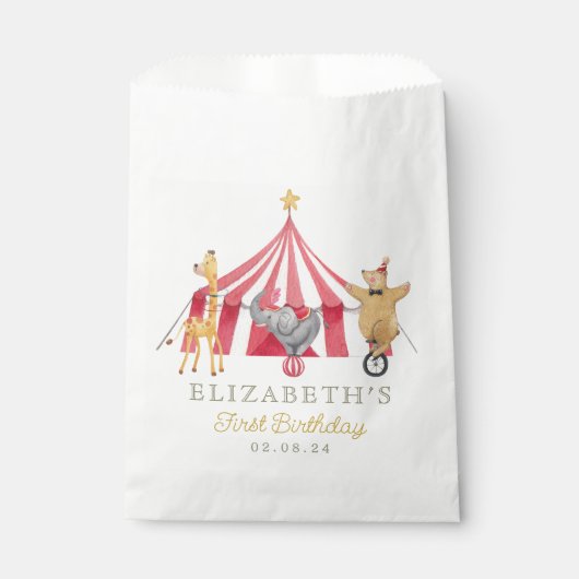 Sachets En Papier Baby shower Carnaval de cirque d'aquarelle (Devant)