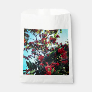 Sachets En Papier Baies rouges