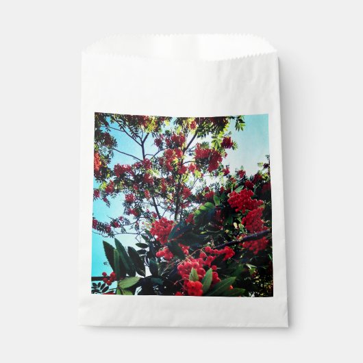 Sachets En Papier Baies rouges (Devant)