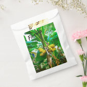 Sachets En Papier Banane tropicale Palm Tree St Augustine Floride (Scellé)