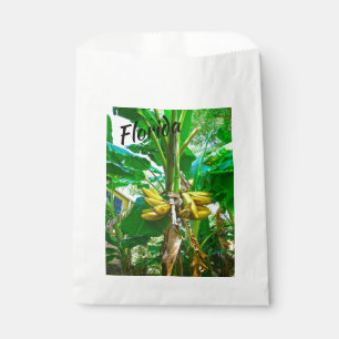Sachets En Papier Banane tropicale Palm Tree St Augustine Floride