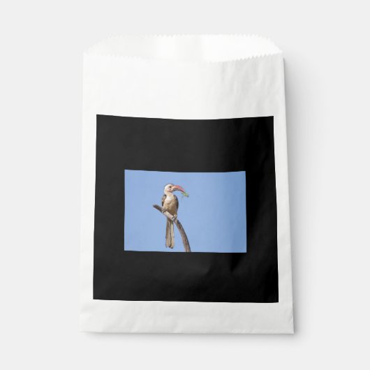 Sachets En Papier Bécasseau à bec rouge (Devant)