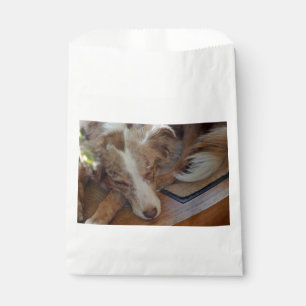 Sachets En Papier berger australien rouge merle dormir