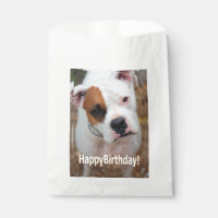 Birthday Boop