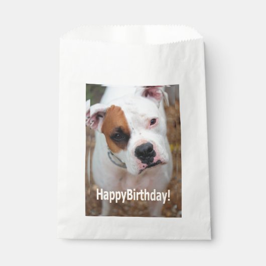 Sachets En Papier Birthday Boop (Devant)