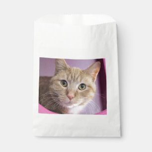 Sachets En Papier Cat