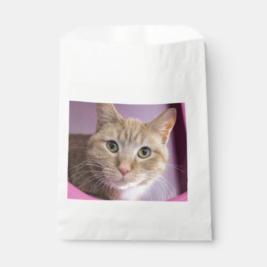 Sachets En Papier Cat (Devant)