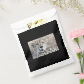 Sachets En Papier Cheetah Portrait (Scellé)