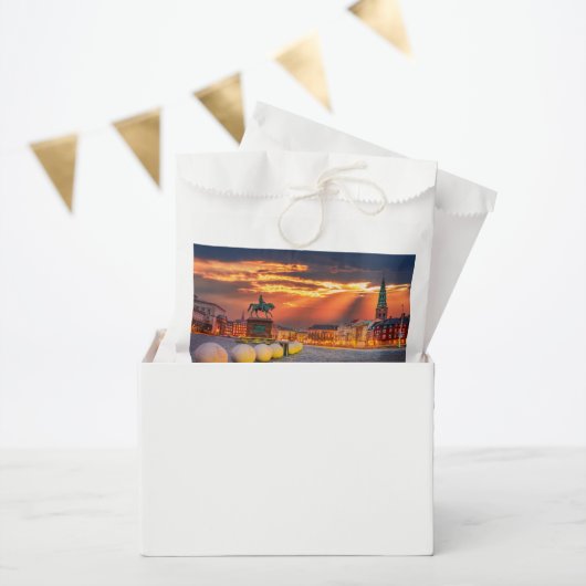 Sachets En Papier Copenhague (Fête)