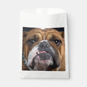 Sachets En Papier Coussin de jet de Bouledogue Anglais