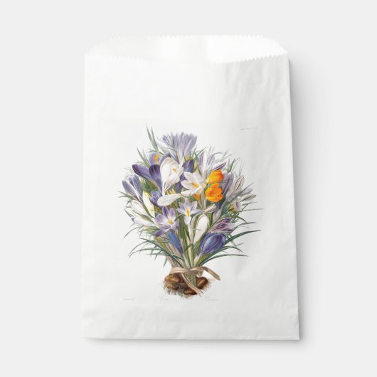 Sachets En Papier Crocus Spring Flower Botanique Floral Art (Devant)