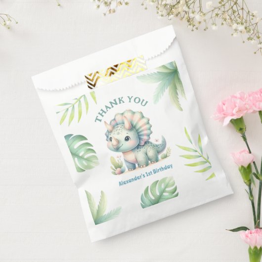 Sachets En Papier Dinosaur Boy 1er Anniversaire mignon Dino Tropical (Scellé)