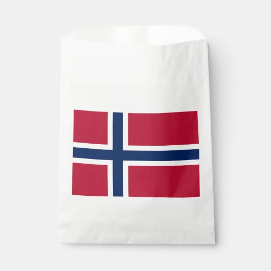 Sachets En Papier Drapeau de la Norvège (Devant)