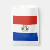 Sachets En Papier Drapeau du Paraguay (Devant)