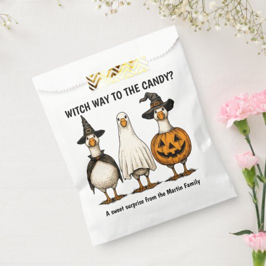 Sachets En Papier Drôle Halloween Sorcière Goose (Scellé)