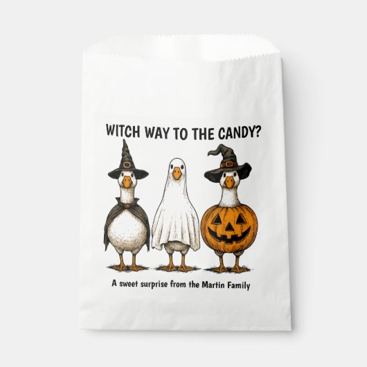 Sachets En Papier Drôle Halloween Sorcière Goose (Devant)