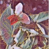 SACHETS EN PAPIER FLEURS DE POIS DOUCES