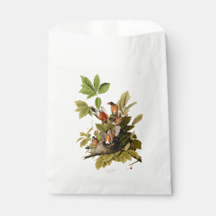 Sachets En Papier Illustration Audubon American Robin Wildlife Bird