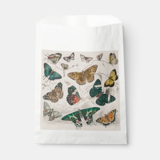 Sachets En Papier Illustration de papillon antique : 1820 Orfèvre (Devant)