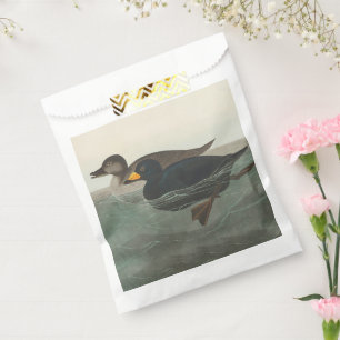 Sachets En Papier Impression de Macreuse noire d'Audubon : Canard cô