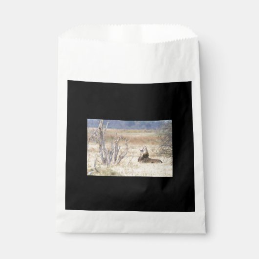 Sachets En Papier Lion de Yawning (Devant)