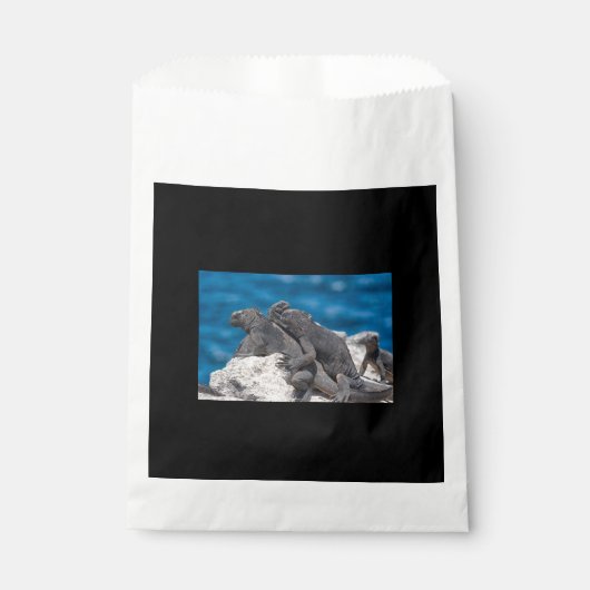 Sachets En Papier Marine Iguana (Devant)