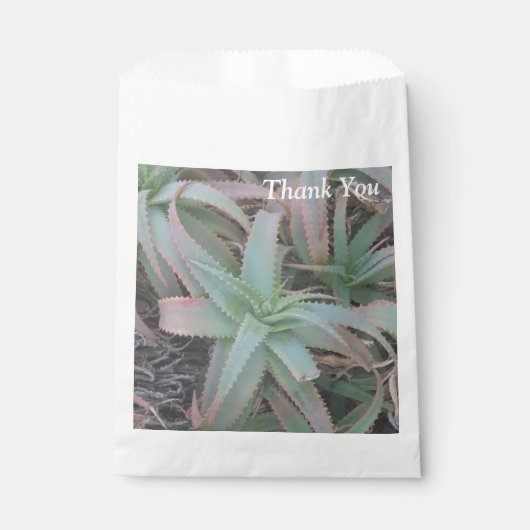 Sachets En Papier Nevada succulents (Devant)