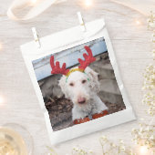 Sachets En Papier Noël Ollie (Coupé)