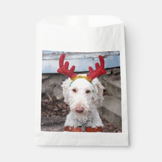 Sachets En Papier Noël Ollie (Devant)