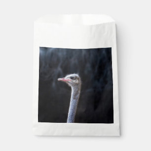 Sachets En Papier ostrich portrait  